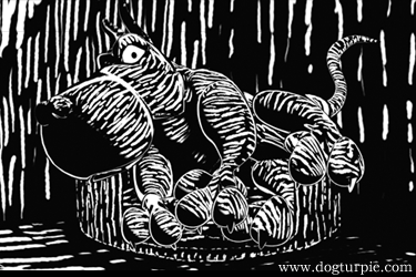 little dog turpie